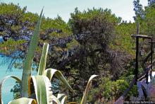 Самая пафосная таверна в Калифее