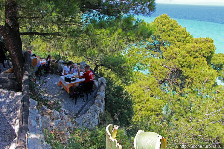 Самая пафосная таверна в Калифее