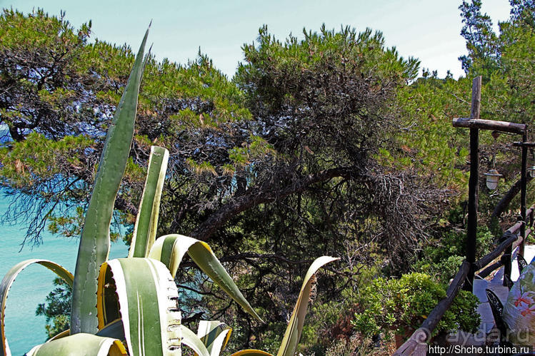 Самая пафосная таверна в Калифее