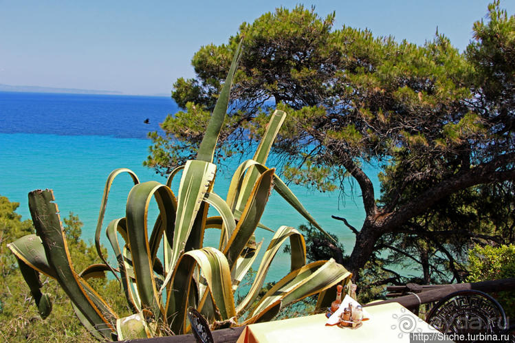 Самая пафосная таверна в Калифее