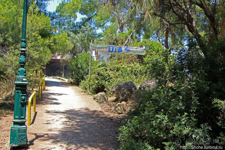 Самая пафосная таверна в Калифее