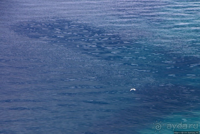 Cokolsko — лучшие панорамы озера Охрид