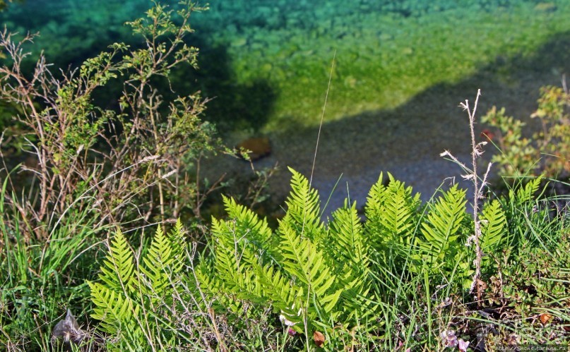 Cokolsko — лучшие панорамы озера Охрид