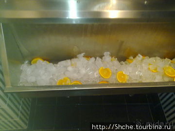 Новый ресторан с собственной пивоварней в Приморском праке