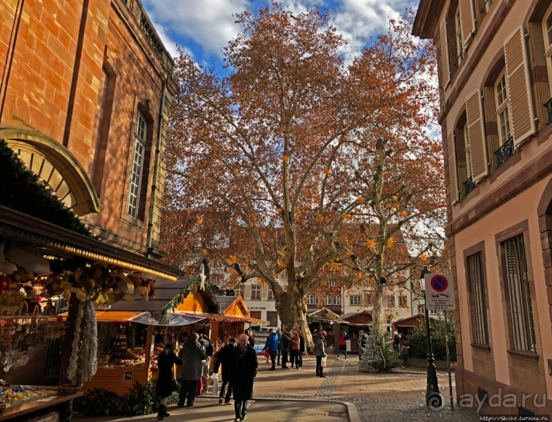 Рождественские метаморфозы у кафедрального собора Страсбурга