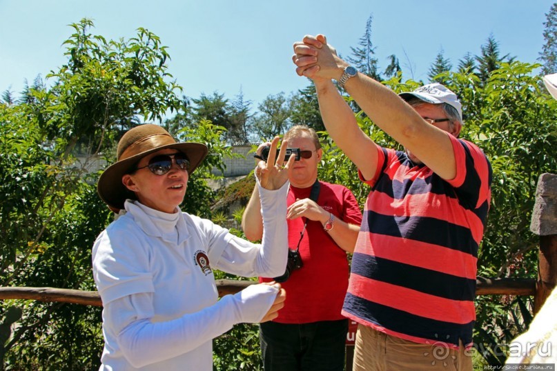 Истинный экватор — "фокусы" для доверчивых туристов