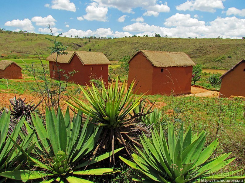 Мадагаскарские картинки. Уезжаем на юг от столицы