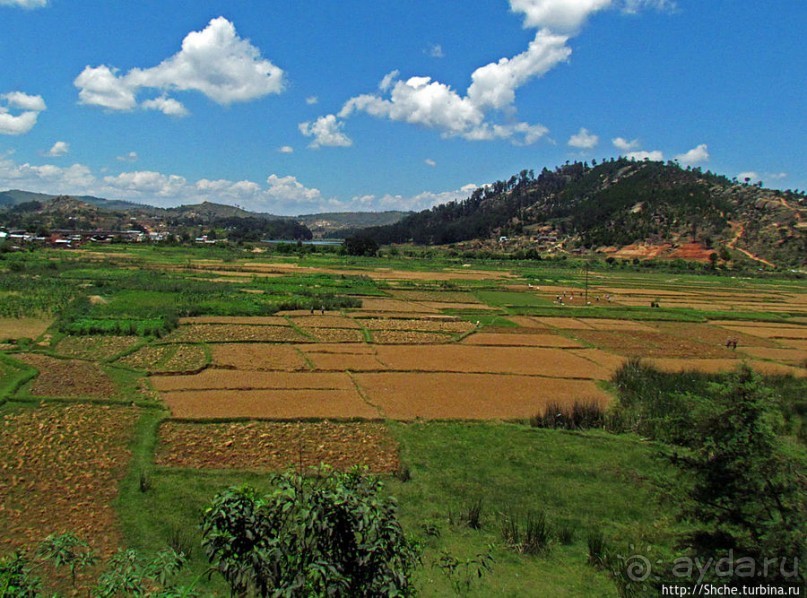 Мадагаскарские картинки. Уезжаем на юг от столицы