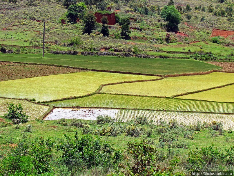 Мадагаскарские картинки. Уезжаем на юг от столицы