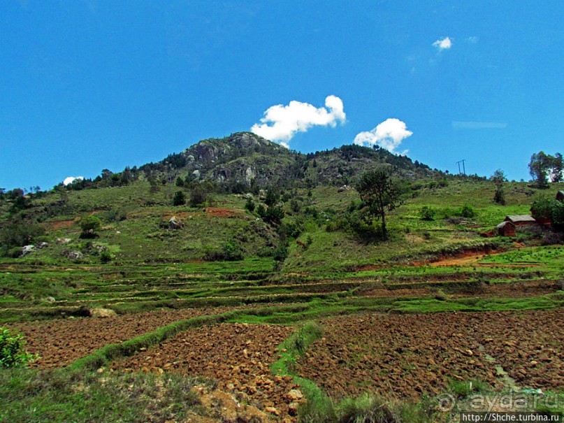 Мадагаскарские картинки. Уезжаем на юг от столицы