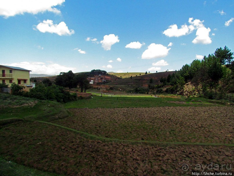 Мадагаскарские картинки. Уезжаем на юг от столицы