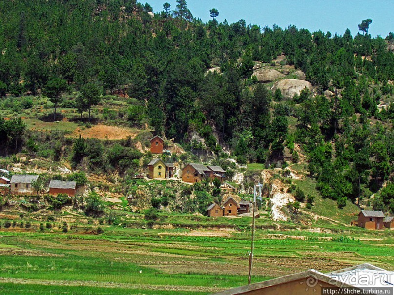 Мадагаскарские картинки. Уезжаем на юг от столицы