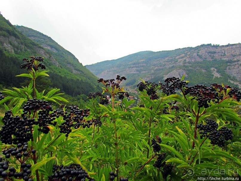 Своге — южные ворота Искырского ущелья