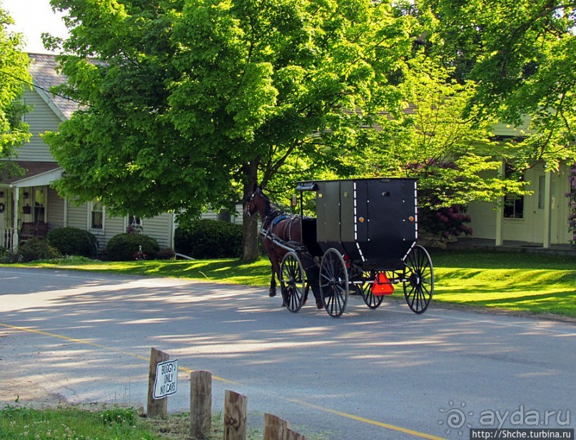 Месопотамия — небольшой городок, при том центр страны амишей