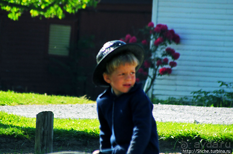 Месопотамия — небольшой городок, при том центр страны амишей