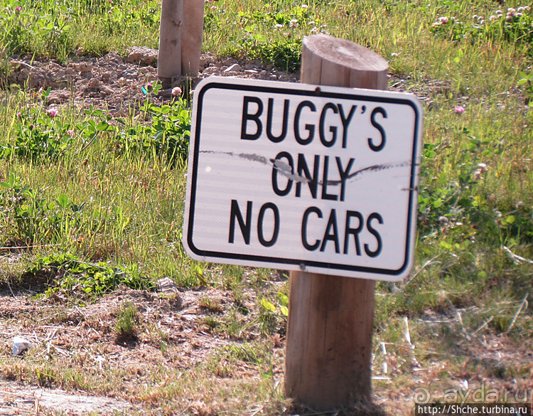 Месопотамия — небольшой городок, при том центр страны амишей