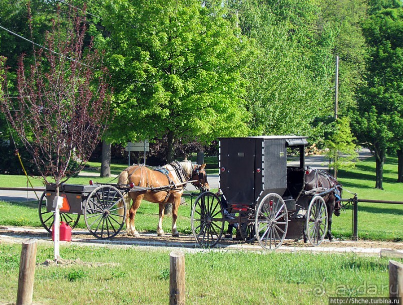 Месопотамия — небольшой городок, при том центр страны амишей