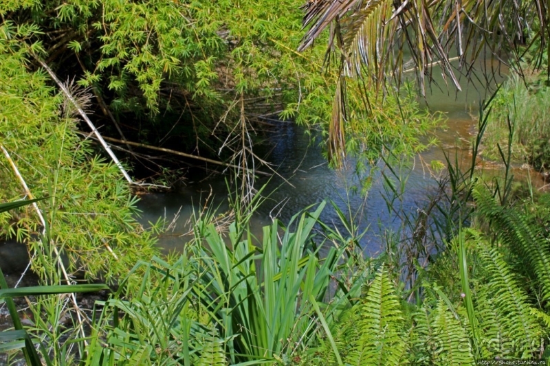 Talofofo Falls Park — важнейшее туристическое место Гуама