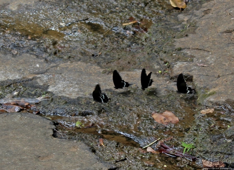 Talofofo Falls Park — важнейшее туристическое место Гуама