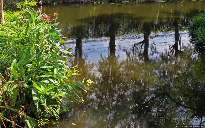 Сад роз и Ботанический сад в Сампране (близ Бангкока)