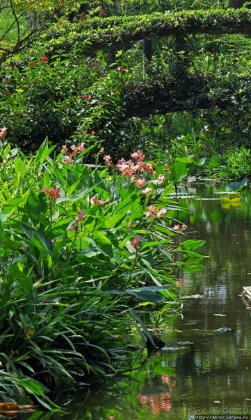 Сад роз и Ботанический сад в Сампране (близ Бангкока)
