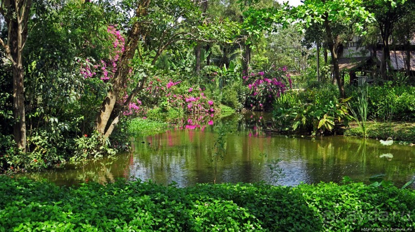 Сад роз и Ботанический сад в Сампране (близ Бангкока)
