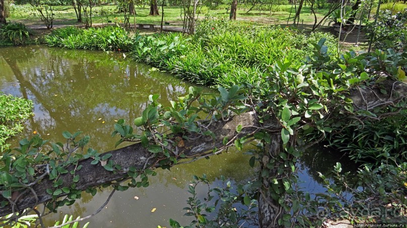 Сад роз и Ботанический сад в Сампране (близ Бангкока)