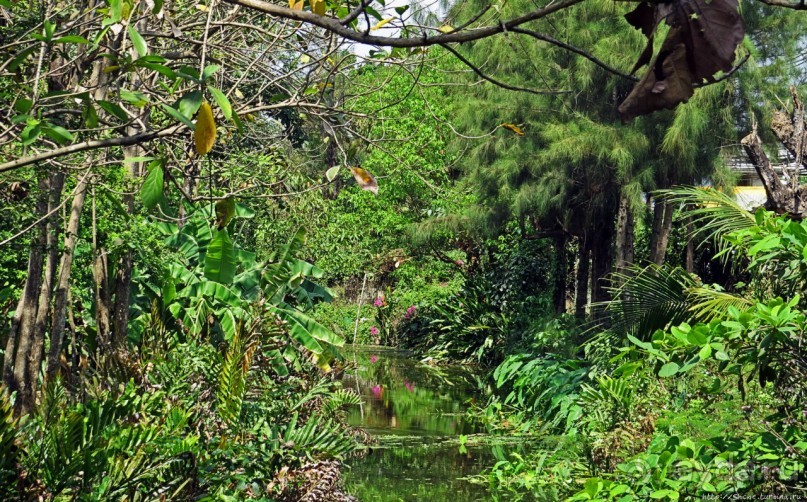 Сад роз и Ботанический сад в Сампране (близ Бангкока)