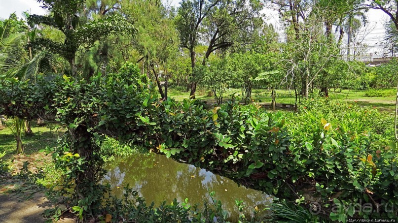 Сад роз и Ботанический сад в Сампране (близ Бангкока)