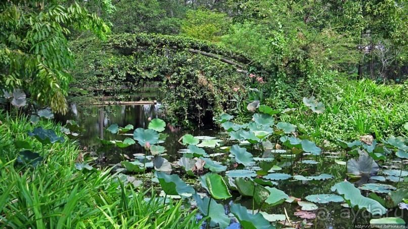 Сад роз и Ботанический сад в Сампране (близ Бангкока)