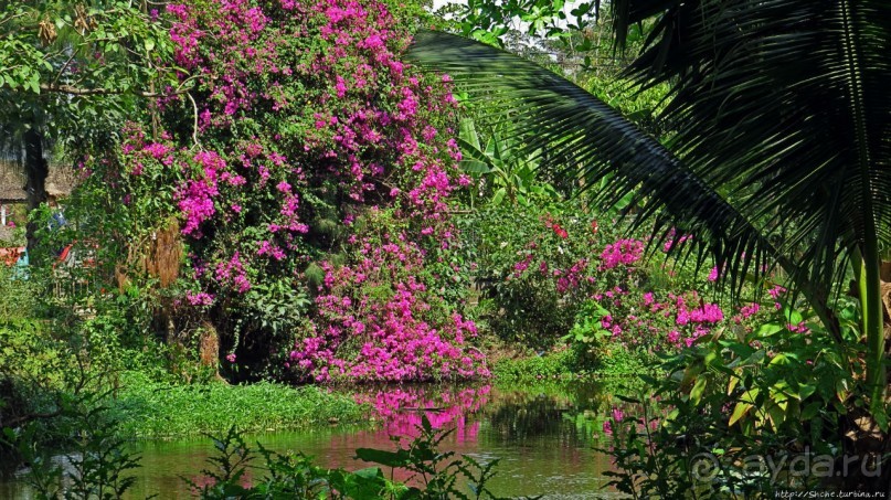 Сад роз и Ботанический сад в Сампране (близ Бангкока)