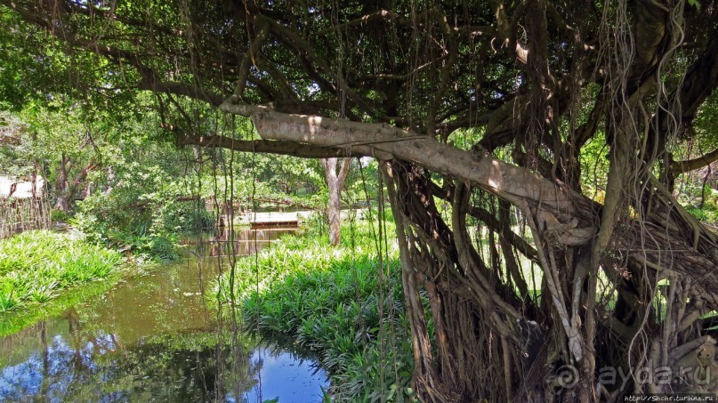 Сад роз и Ботанический сад в Сампране (близ Бангкока)