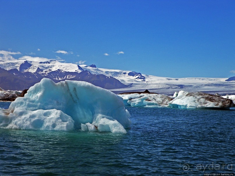 Альбом отзыва "По лагуне причудливо-тающих льдов на плавающем авто-корабле"