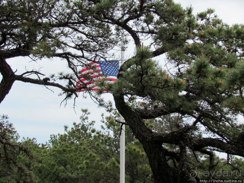 Цветущие дюны мыса Кейп-Код. Виды с площадки инфоцентра
