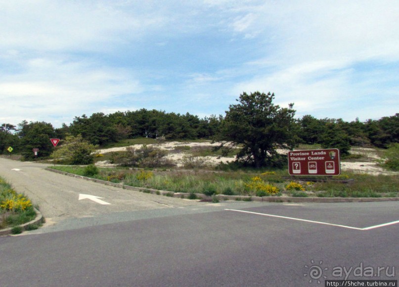 Цветущие дюны мыса Кейп-Код. Виды с площадки инфоцентра