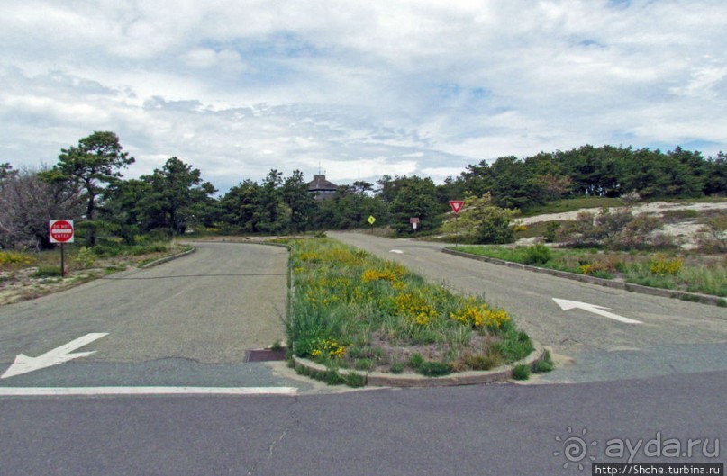 Цветущие дюны мыса Кейп-Код. Виды с площадки инфоцентра