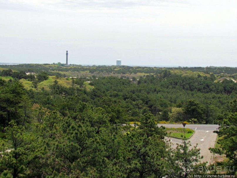 Цветущие дюны мыса Кейп-Код. Виды с площадки инфоцентра