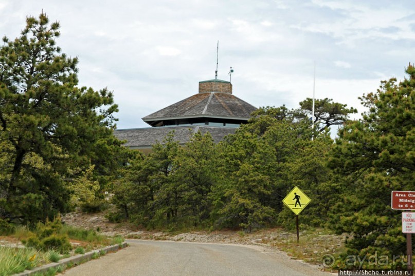 Цветущие дюны мыса Кейп-Код. Виды с площадки инфоцентра