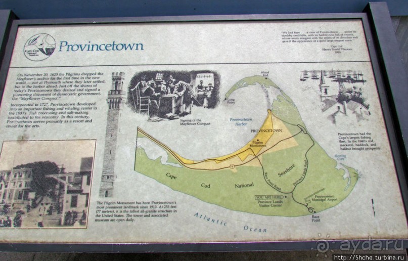 Цветущие дюны мыса Кейп-Код. Виды с площадки инфоцентра