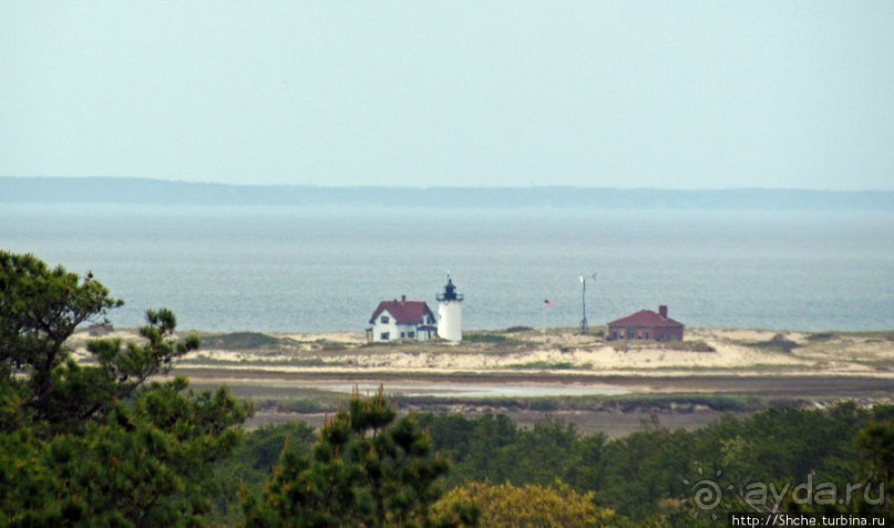 Цветущие дюны мыса Кейп-Код. Виды с площадки инфоцентра