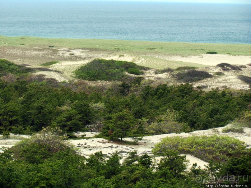 Цветущие дюны мыса Кейп-Код. Виды с площадки инфоцентра