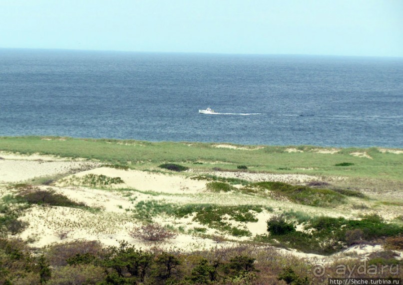 Цветущие дюны мыса Кейп-Код. Виды с площадки инфоцентра