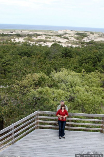Цветущие дюны мыса Кейп-Код. Виды с площадки инфоцентра