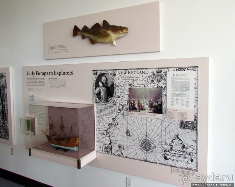 Цветущие дюны мыса Кейп-Код. Виды с площадки инфоцентра