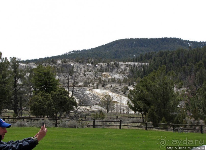 И снова о них... Лоси-олени, или "По газонам не ходить..."