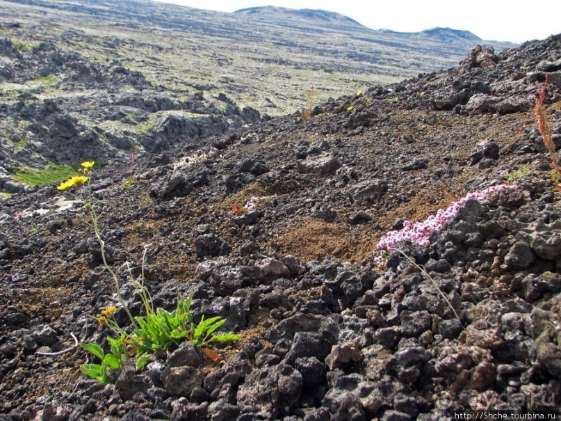 Saxholl - компактный кратер конкретного вулкана