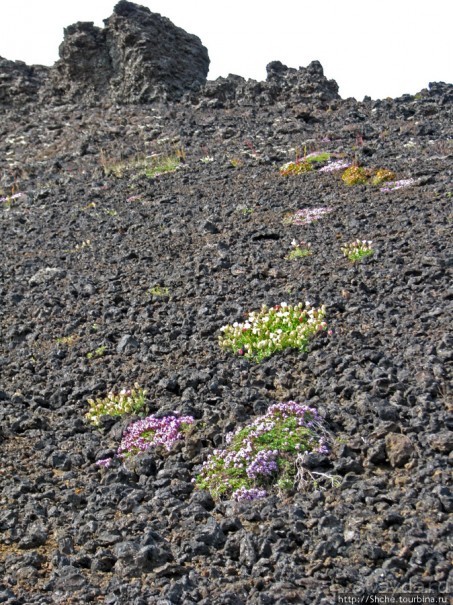 Saxholl - компактный кратер конкретного вулкана