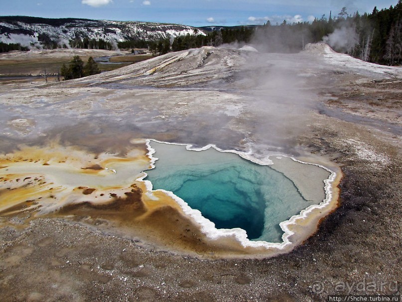 Heart Spring — горячее сердце, мечтающее о покое