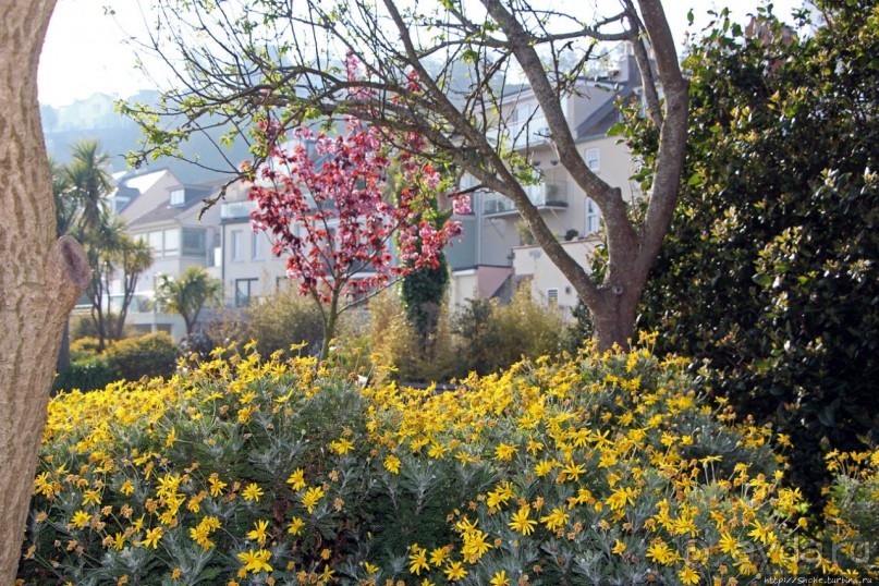 Отлив и солнце — день чудесный... Горей — джерсийский тупик
