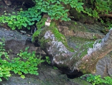 "Эхо Кореи" — 75-метровый водопад Ullim Fall